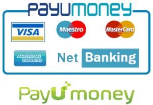 payumoney2
